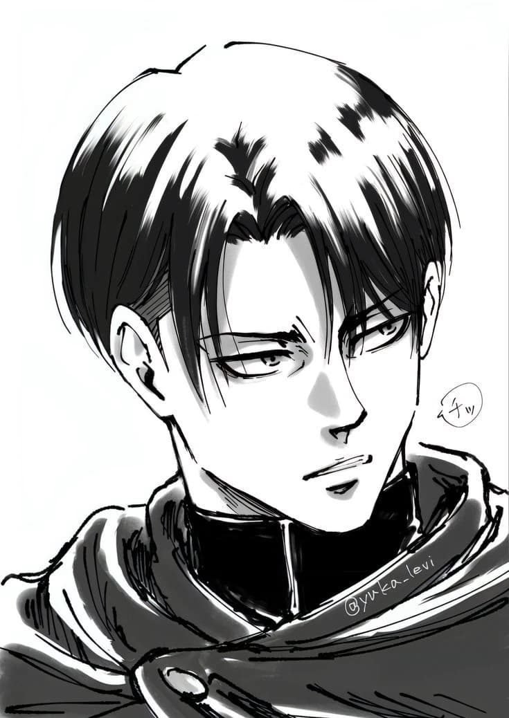 Levi Ackerma thumbnail
