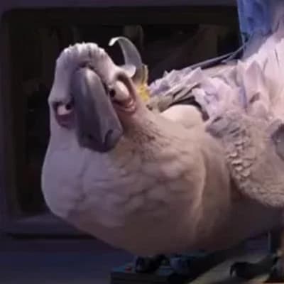 Pepillo/Nigel thumbnail