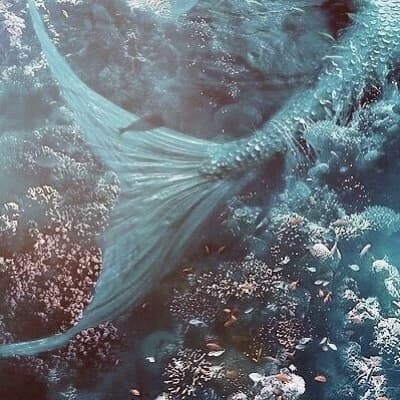 Chubby mermaid thumbnail