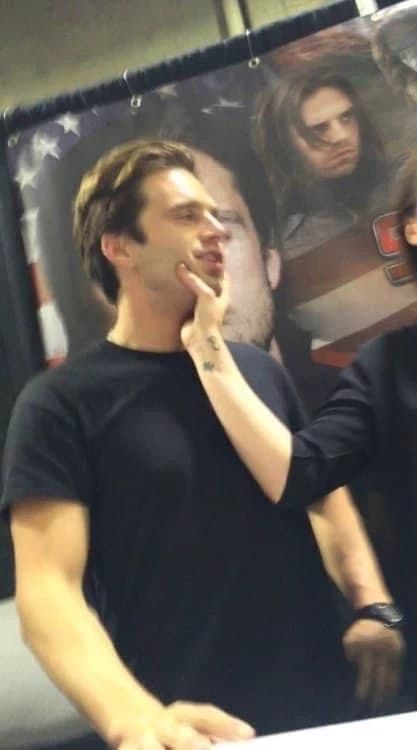 Sebastian Stan  thumbnail