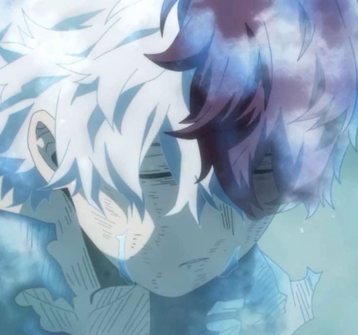 Shoto Todoroki thumbnail