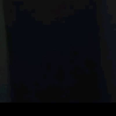 dog thumbnail