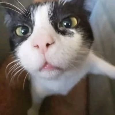Coco thumbnail