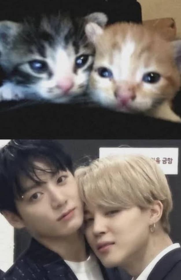 Jungkook Híbrido thumbnail