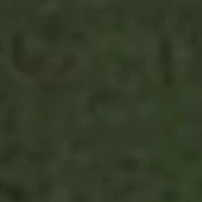 Bonk thumbnail