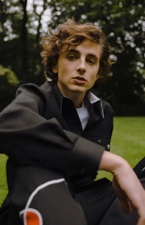 Timothee Chalamet  thumbnail