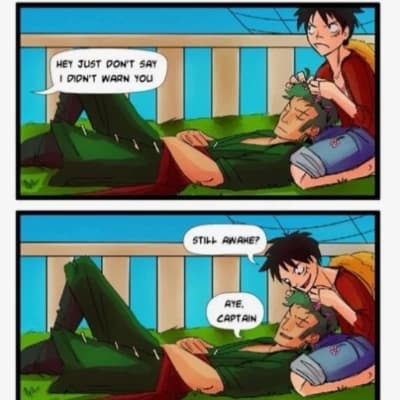 Luffy x Zoro thumbnail