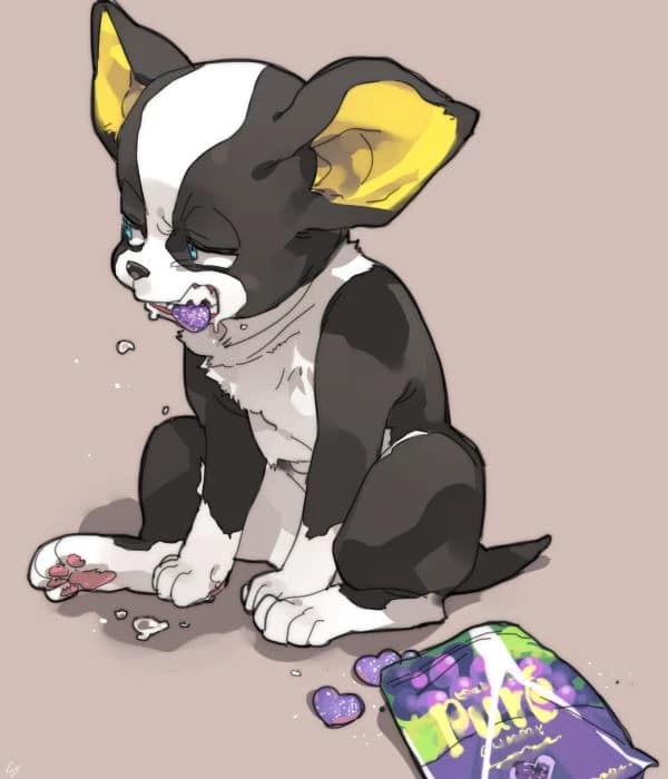 Iggy / JJBA thumbnail