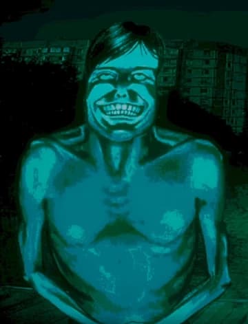 Pale Visitor thumbnail