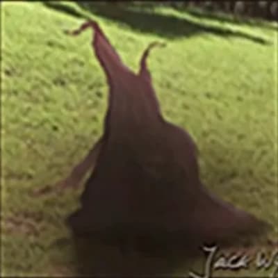 Nature's Mockery thumbnail
