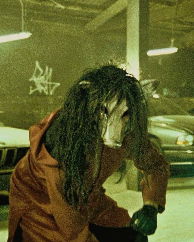 Amanda Young / The pig thumbnail