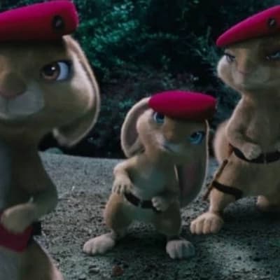 Pink Berets thumbnail