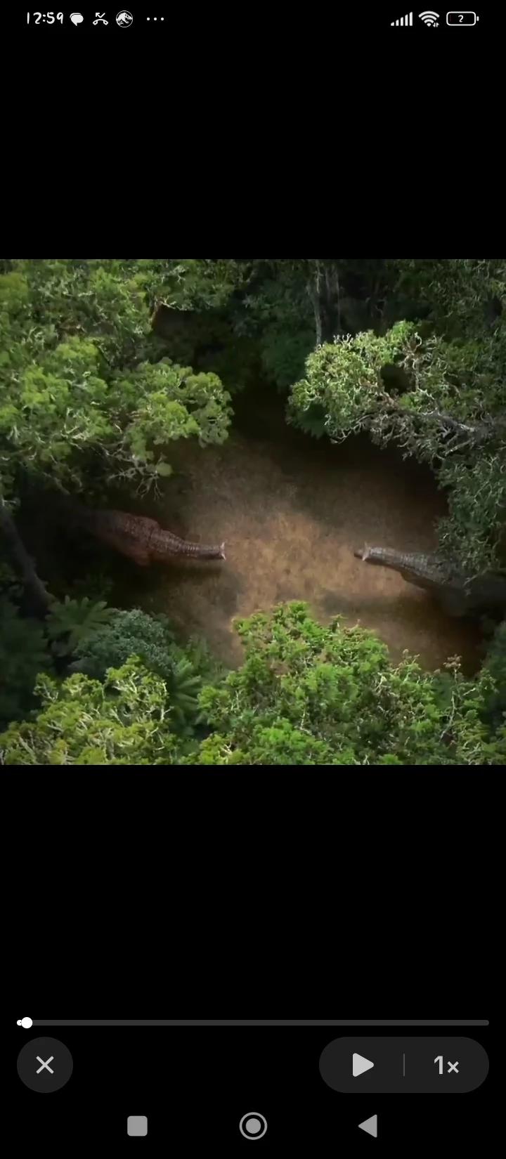 Carnotasaurus thumbnail