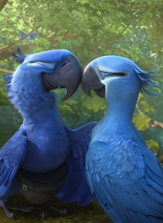 Blu and Jewel thumbnail