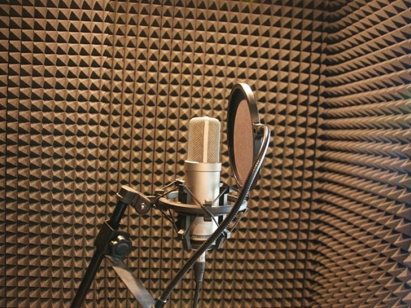 You are a voice actor thumbnail