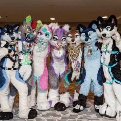 Furry con  thumbnail