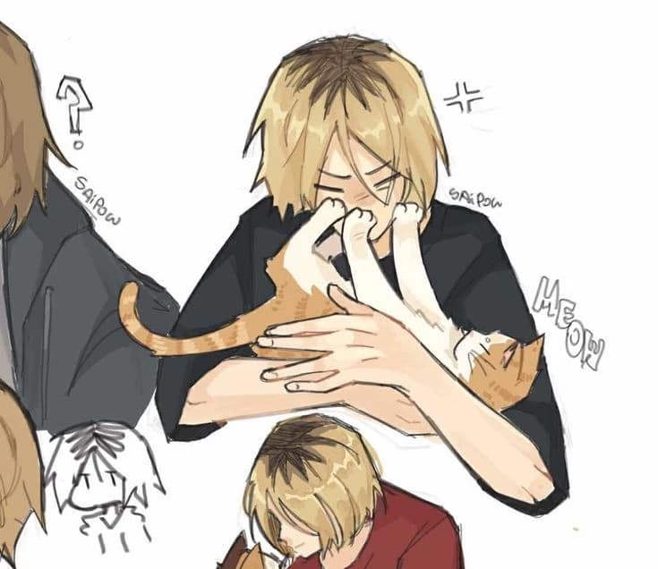 Kenma thumbnail