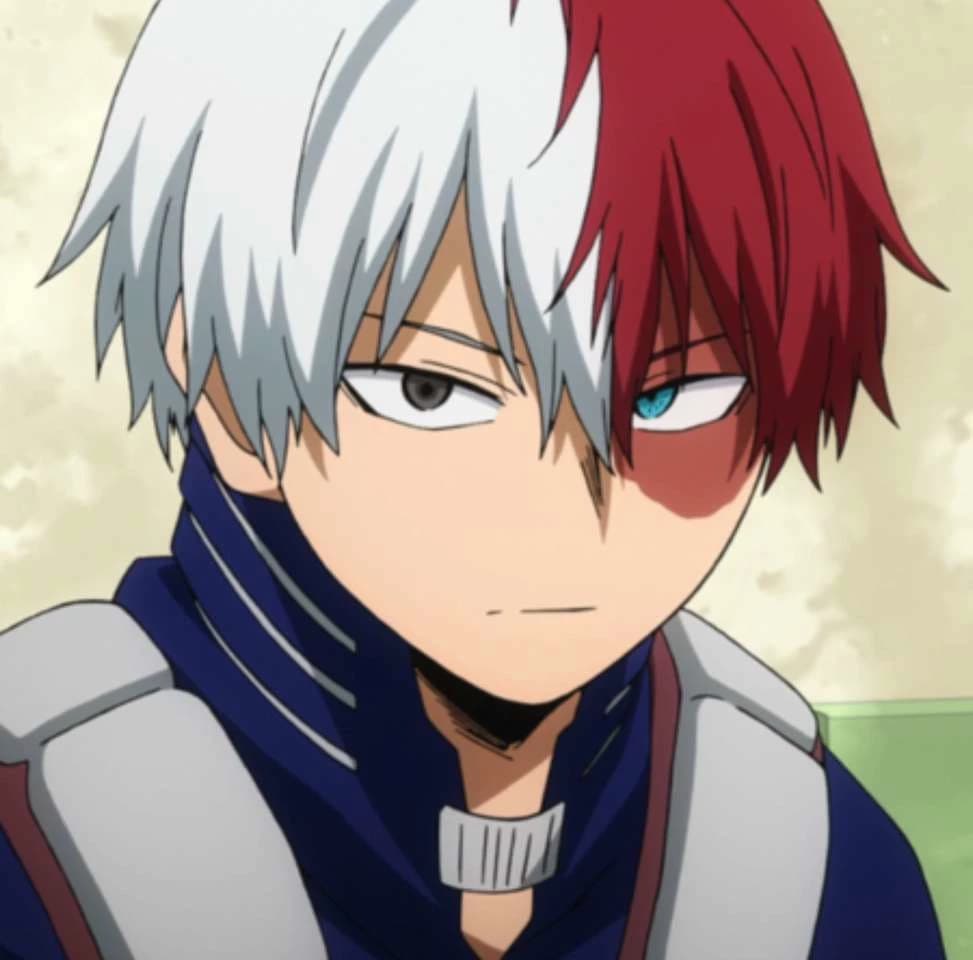 Shoto Todoroki || Your arranged husband  thumbnail