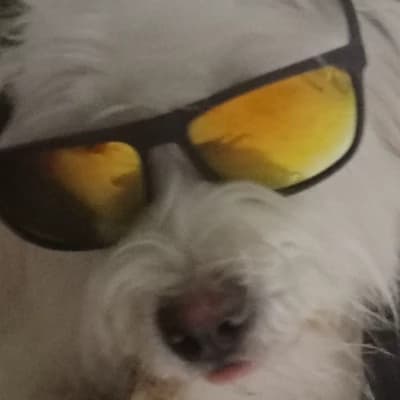 Carter  thumbnail