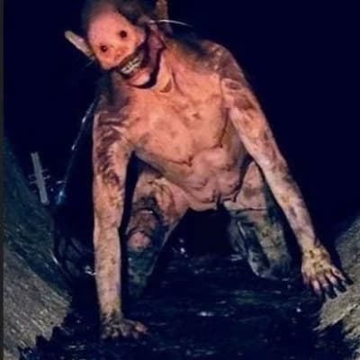 Phinleas the Boner Meister thumbnail