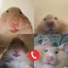 The group of friends thumbnail