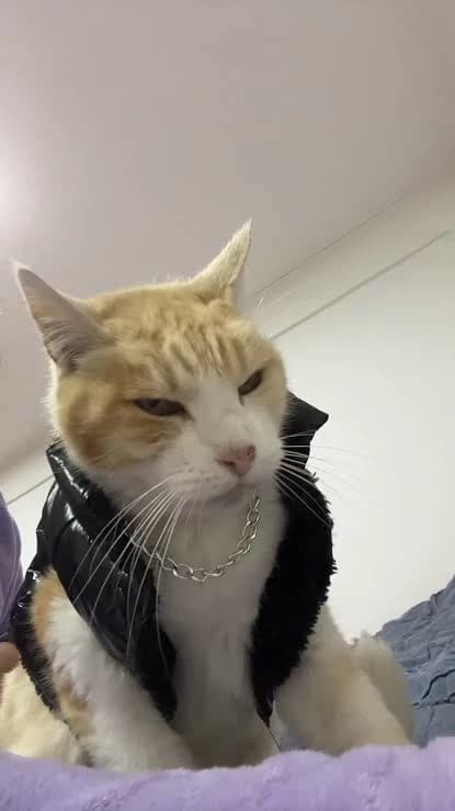 Criminal thumbnail