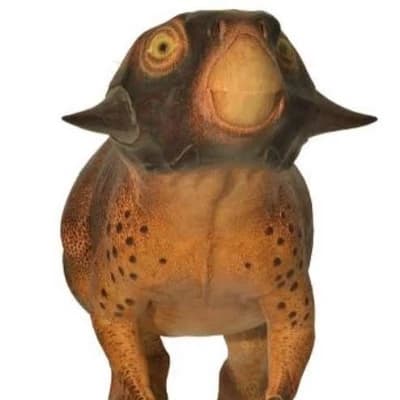 Psitta, the female Psittacosaurus thumbnail