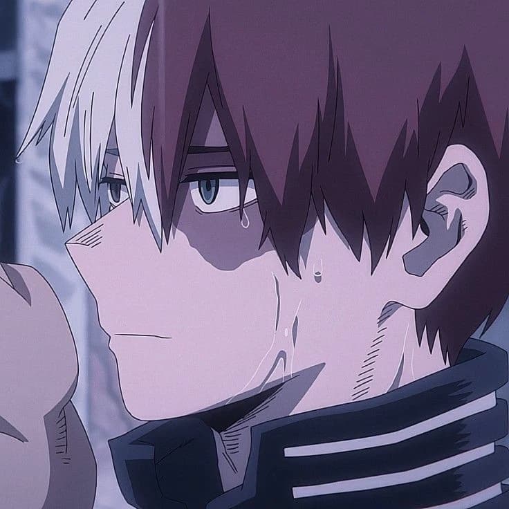 Shoto todoroki thumbnail
