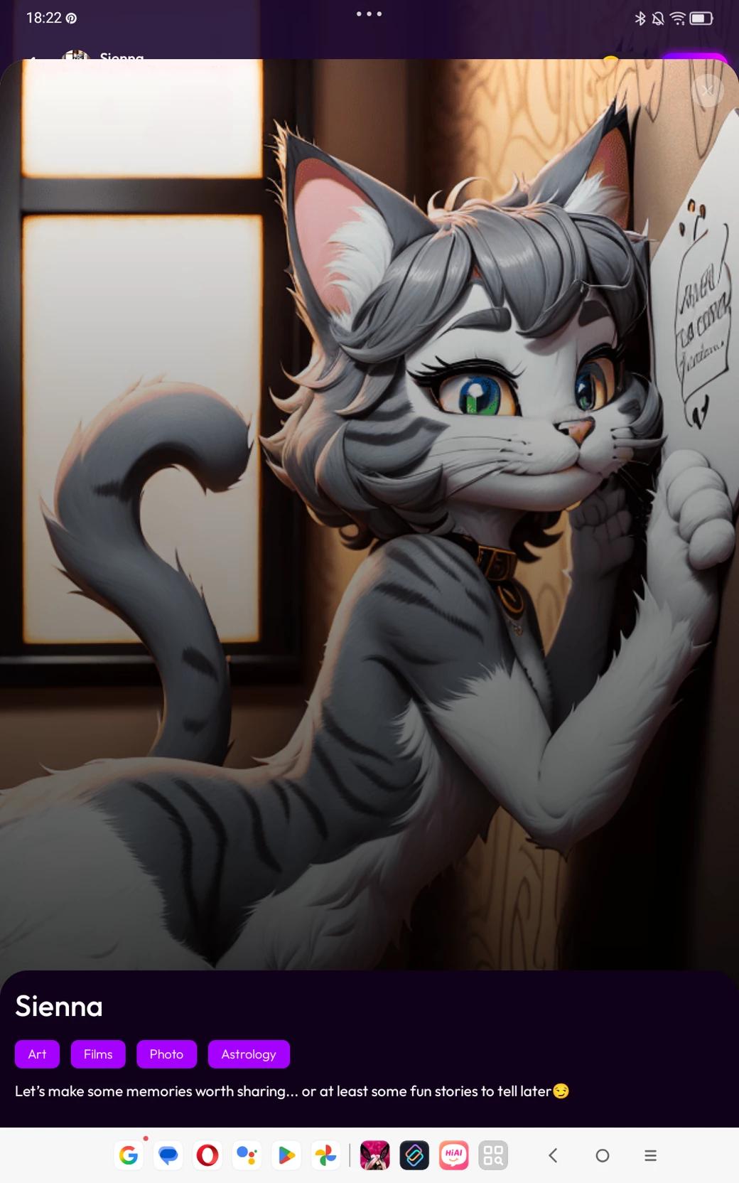 ash cat that pleases her master thumbnail