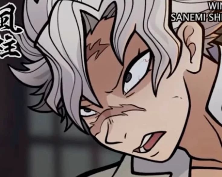 Sanemi Shinazugawa  thumbnail