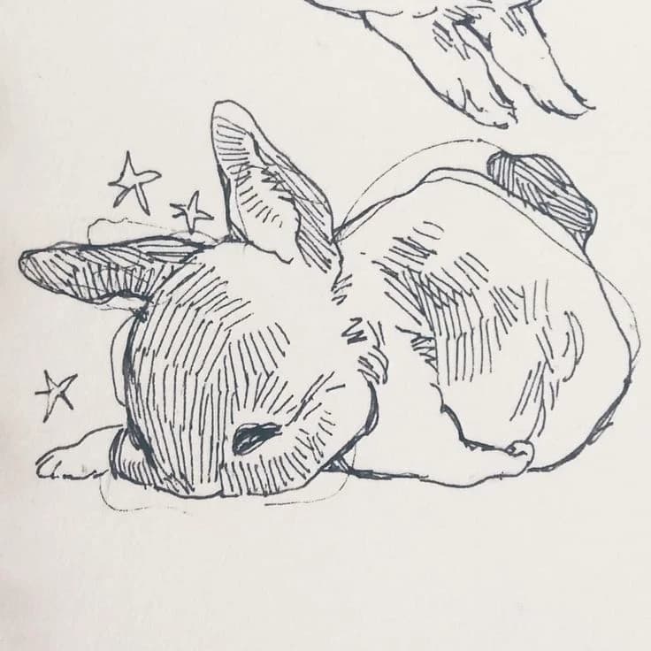 White rabbit thumbnail