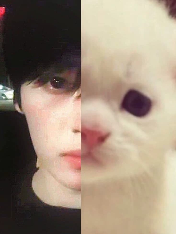 Lee Minho - Minsung thumbnail