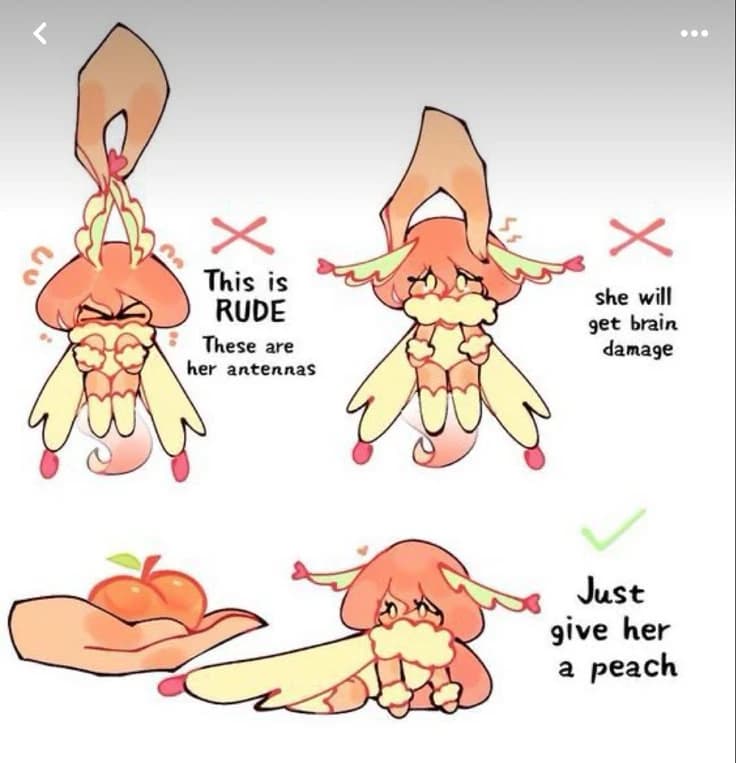 Peachi 🍑 (also known as Momo) thumbnail