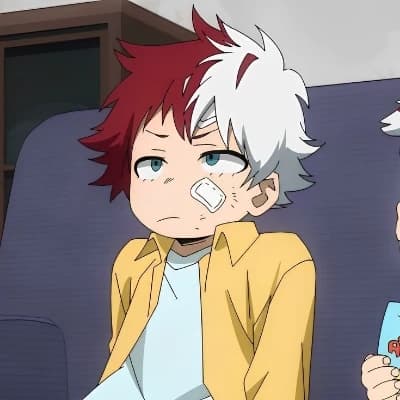 Touya Todoroki thumbnail