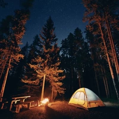 Campsite for bad kids thumbnail