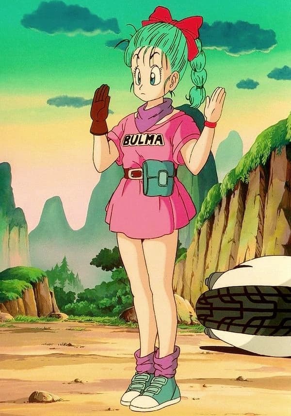 Bulma Briefs thumbnail