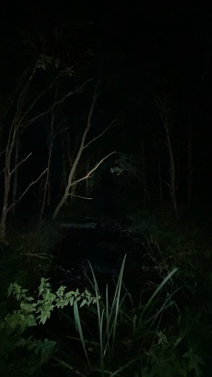 Hunted. thumbnail
