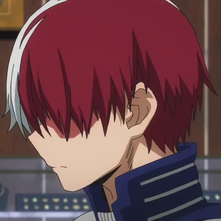 shoto todoroki thumbnail