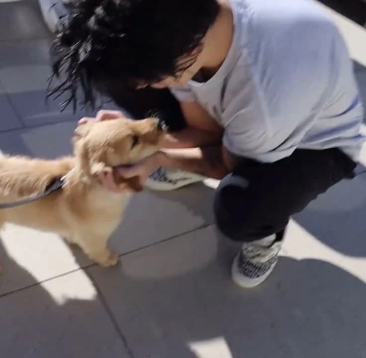 You are a dog thumbnail