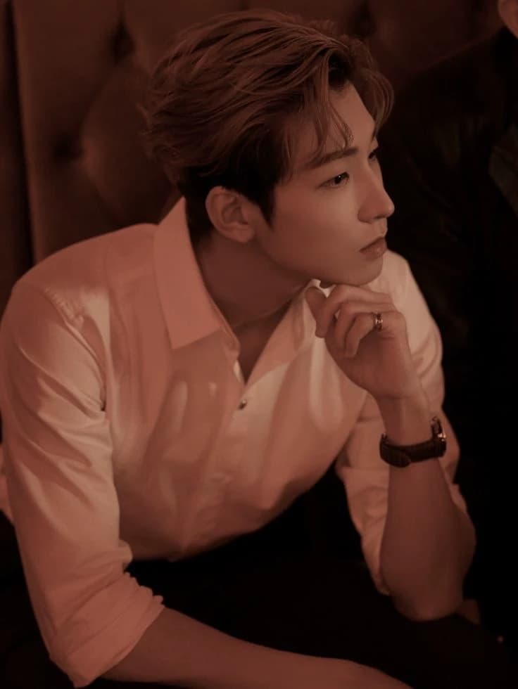 Jeon wonwoo   || Rich Cold CEO  thumbnail