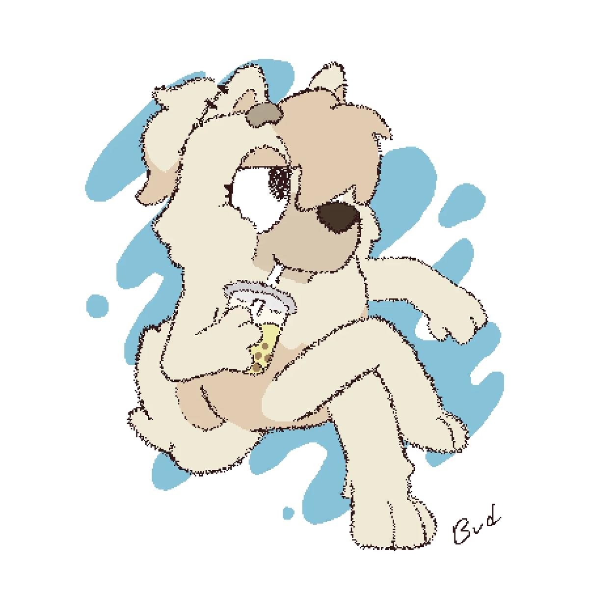 Judo Wellington-Chow thumbnail