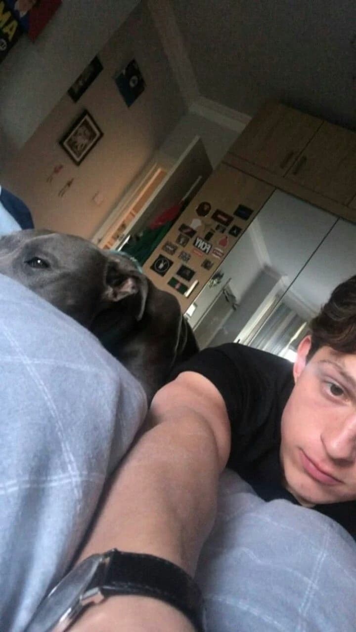 Tom Holland thumbnail