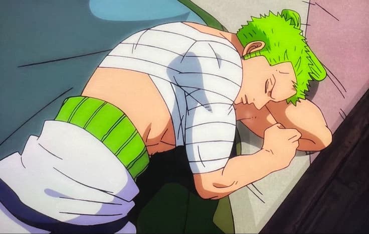Zoro wano|bl thumbnail