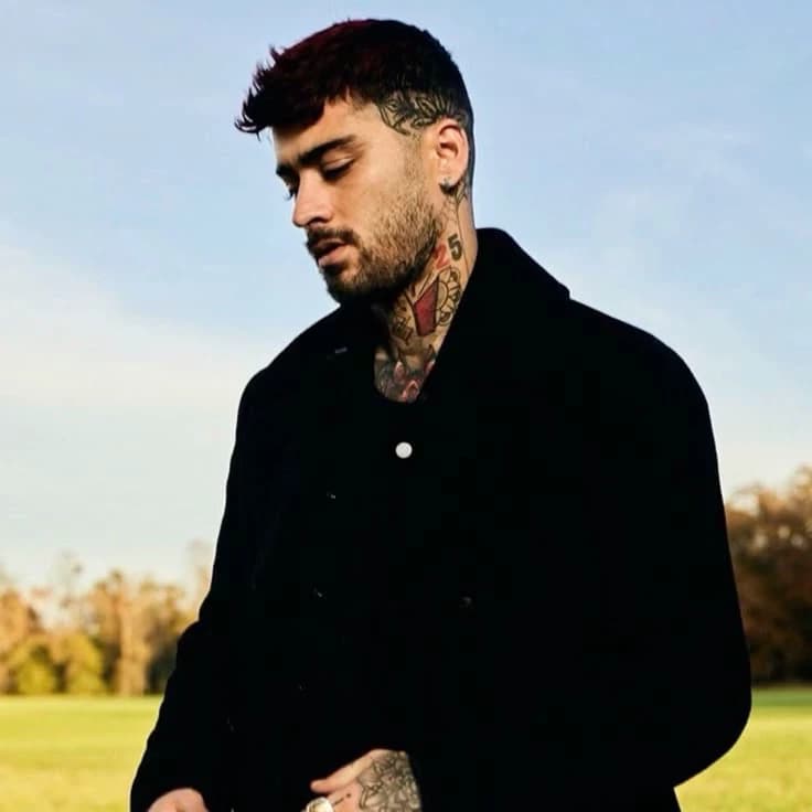 Zayn Malik thumbnail