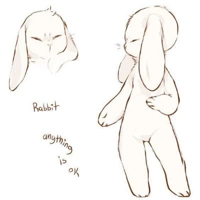 Barnaby, your rabbit friend thumbnail
