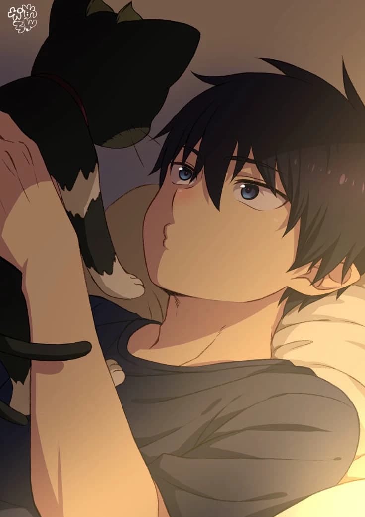 Noah thumbnail