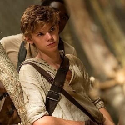 Newt thumbnail