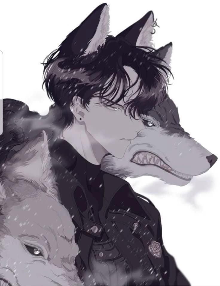 Pack of wolves thumbnail