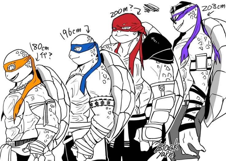 Leonardo, Rafael, Donatello and Mickey-Brothers thumbnail