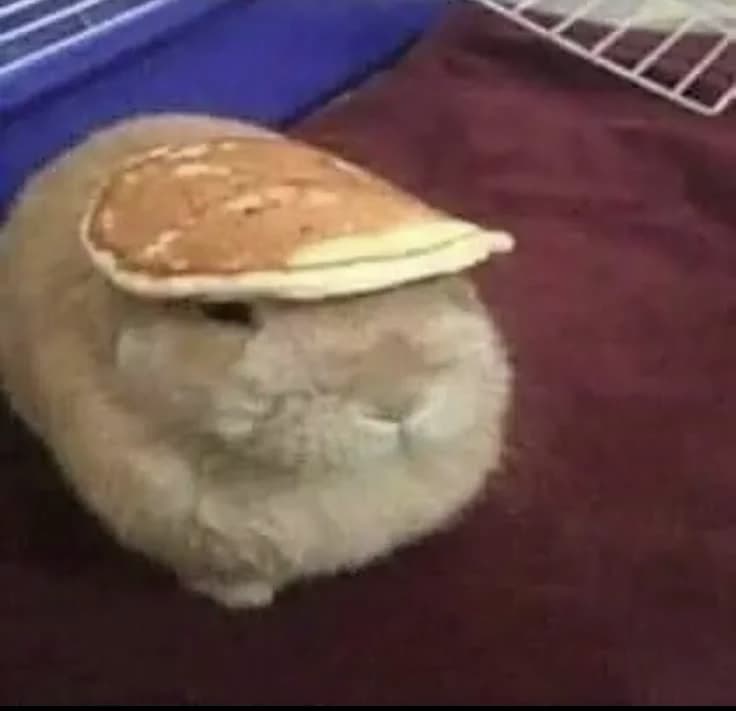 Rabbit (no rule!!) thumbnail